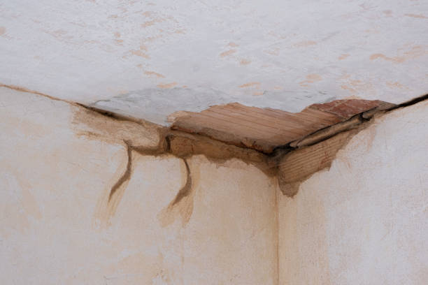 Best 24-hour water damage restoration  in Gearhart, OR