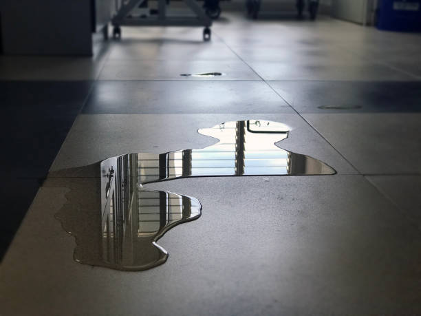 Best Water damage cleanup near me  in Gearhart, OR