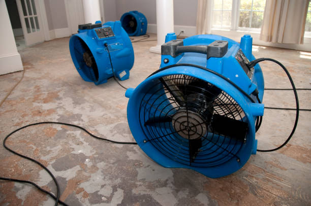 Best Ceiling water damage repair  in Gearhart, OR