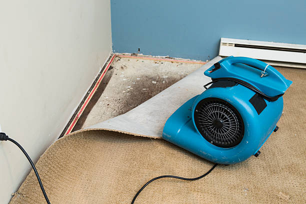 Best 24/7 water damage repair  in Gearhart, OR